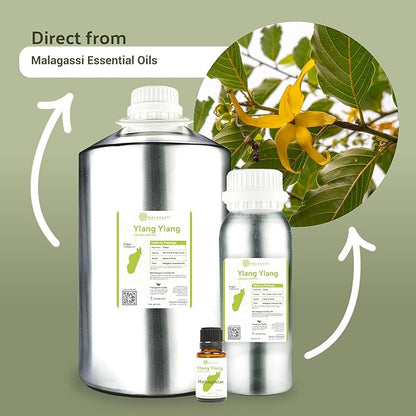 Ylang Ylang Essential Oil - Direct from Malagassi Essential Oils Madagascar - Steam Distilled - Aceite de Ylang Ylang for Aromatherapy, Diffuser, DIY Candle and Soap Making - 8oz