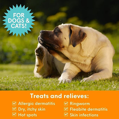 Nootie Medicated Pet Shampoo, Chlorhexidine Dog Shampoo for Itch Relief, Sold in Over 5,000 Vet Clinics & Pet Stores Worldwide- 8oz