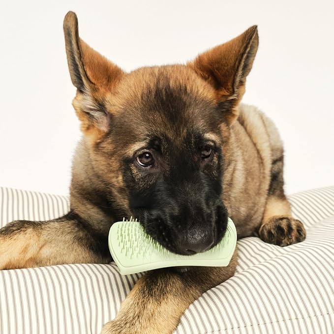Pet Teezer Puppy Essential Dog Brush, with Extra Soft Teeth for Gentle Grooming on Wet or Dry Fur, Mint