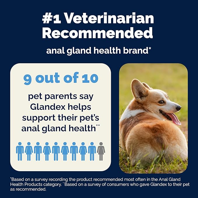 Vetnique Glandex Medicated Dog Butt Wipes or Spray for Dog Scooting - Topical Anti Itch Skin Relief for Soothing Inflamed Anal Glands in Dogs & Cats - Fast Acting Formula 50ct (50ct Wipes)