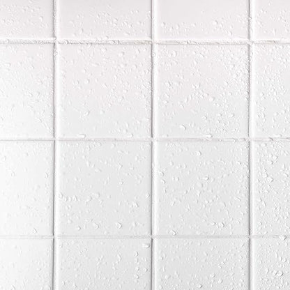 AQUA-X 16 Oz. Grout Sealer, Clear Grout and Tile Sealer, Natural Finish, Professional Grade, Indoor & Outdoor, Fast Dry and Long Lasting Protection