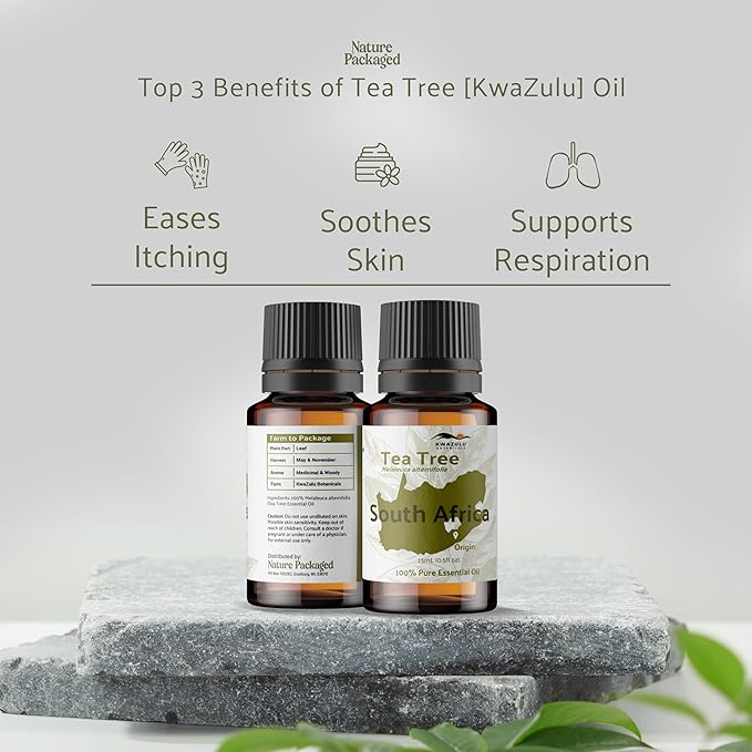 Tea Tree Essential Oil - Direct from Kwazulu Botanicals South Africa - Steam Distilled - Aceite Esencial de Árbol de Té for Aromatherapy, Diffuser, DIY Candle and Soap Making - 8oz