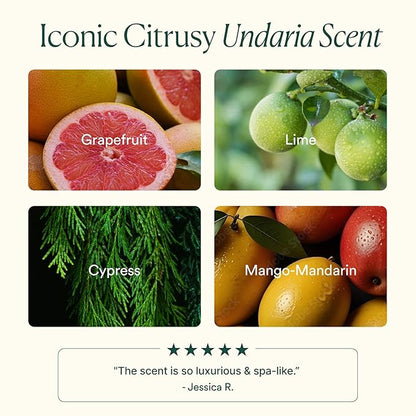 OSEA Undaria Algae™ Body Butter 6.7 oz - For Dry Skin - Ultra Hydrating Whipped Shea Butter + Ceramides - Vegan Skincare & Clean Bodycare - Thick Body Cream - For Extremely Dry Crepey Skin