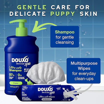 DOUXO® Skin & Coat SPA – Ultra-Safe Combo for Puppies, Puppy Shampoo (16 fl oz, Gently Cleanses & Hydrates Delicate Skin) + Multipurpose Wipes (100 Count, Refreshes Coat)