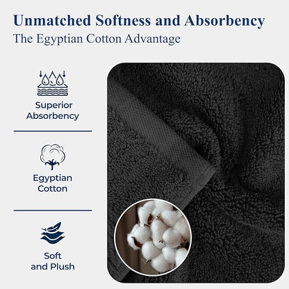 BLUENILEMILLS Madison Egyptian Cotton Hand Towels, Towel Set for Bathroom, Shower, Spa, Hotel, Plush, 800 GSM, Gym, Highly Absorbent and Ultra-Soft Towels, Bath Essentials, Set of 4, Muted Mauve