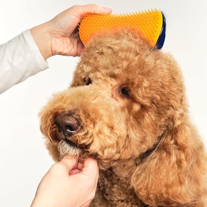Pet Teezer Detangling Dog Grooming Brush, Dog Bath Brush for Long Haired Breeds and Wet or Dry Fur, Large, Navy & Orange