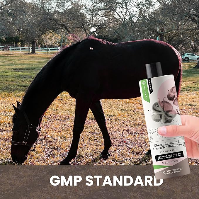 Holistic Natural Derived Cherry Blossom & Green Tea Pet Shampoo: Veterinarian Recommended - Remove Dirt and Condition Your Dog, Cat and Horse Coat - Made in USA - 16 oz
