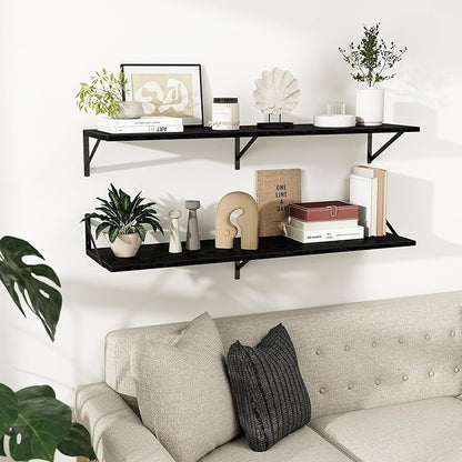 Dreamland Deep Floating Shelves for Wall, 16W x 8D Wall Mounted Shelves Set of 2, Floating Shelves Bedroom with Sturdy Metal Brackets for Living Room, Bathroom and Kitchen, Black