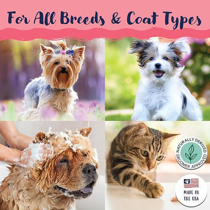 Bobbi Panter Cat Shampoo and Conditioner - Made in USA - All Natural 2-in-1 Formula for Reducing Shedding & Dander - Concentrated 10:1 for Professional Groomers - Watermelon Scent, 13 Oz (Case of 12)