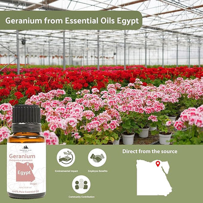 Geranium Essential Oil - Direct from Egypt Nile Delta - Pure Essential Oils for Body, Skincare & Balance - Natural Aceite de Geranio - 100% Pure Therapeutic Grade (15ml)