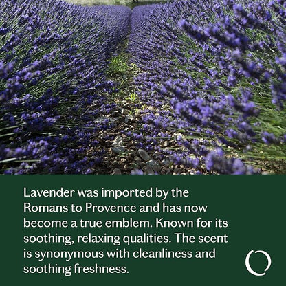 LIVEDROPS 24/7 Relaxed Essential Oil Blend - Lavender, Myrrh & Cedarwood - Calming Scent - Pure & Natural Aromatherapy - Skin Safe & Diffuser Compatible - Crafted in France by Perfumers