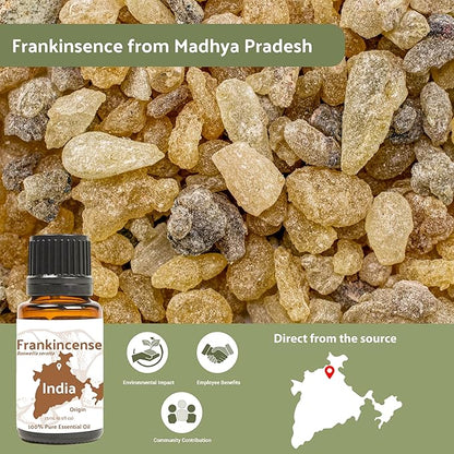 Frankincense Essential Oil - Direct from Madhya Pradesh, India - Pure Essential Oil for Diffusers and Aromatherapy | 100% Pure Therapeutic Grade Natural Aceite de Incienso (22lbs)