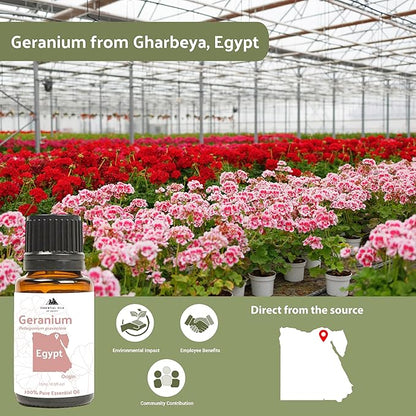 Geranium Essential Oil - Direct from Egypt Nile Delta - Pure Essential Oils for Body, Skincare & Balance - Natural Aceite de Geranio - 100% Pure Therapeutic Grade - 8oz