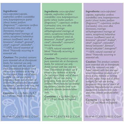 Scentered Aromatherapy Balm Gift Set - Calm & Confident - Pack of 3 Balms: Sleep Well, De-Stress, Focus - Rosemary, Cedarwood, Lavender Essential Oils - Aromatherapy Gifts for Women