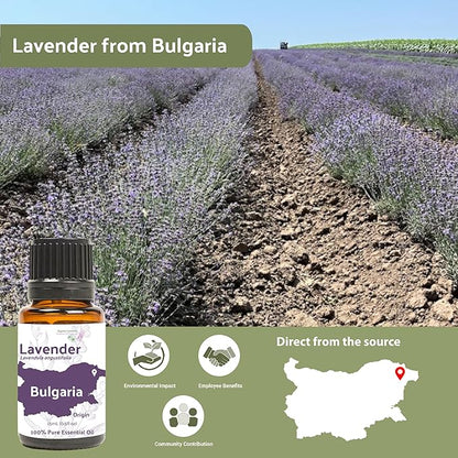 Lavender Oil - Bulgarian Essential Oils - Lavender Diffuser - Pure Therapeutic Grade (8oz)