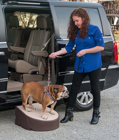 Pet Gear Stramp Stair and Ramp Combination for Dogs/Cats, Easy Step, Lightweight/Portable, Sturdy, Easy Assembly (No Tools Required) 1 Model, Available in 5 Colors