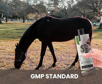 Holistic Natural Derived Cherry Blossom & Green Tea Pet Shampoo: Veterinarian Recommended - Remove Dirt and Condition Your Dog, Cat and Horse Coat - Made in USA - 16 oz